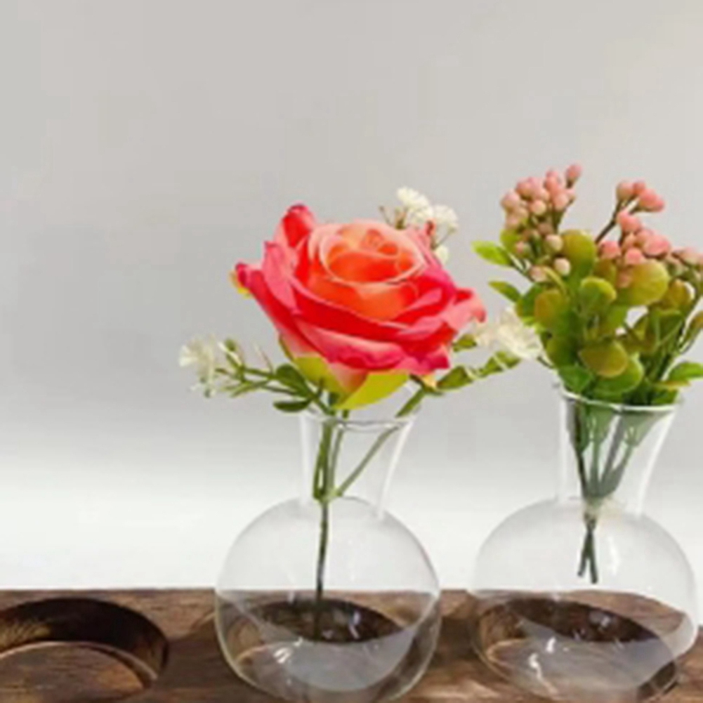 Propagation Station Vase - 75STO-مزهريات نباتية مائية محطة انتشار عتيقة