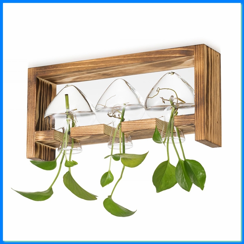 Propagation Station Vase - محطة زراعة زجاجية للنباتات: مزهريات عتيقة