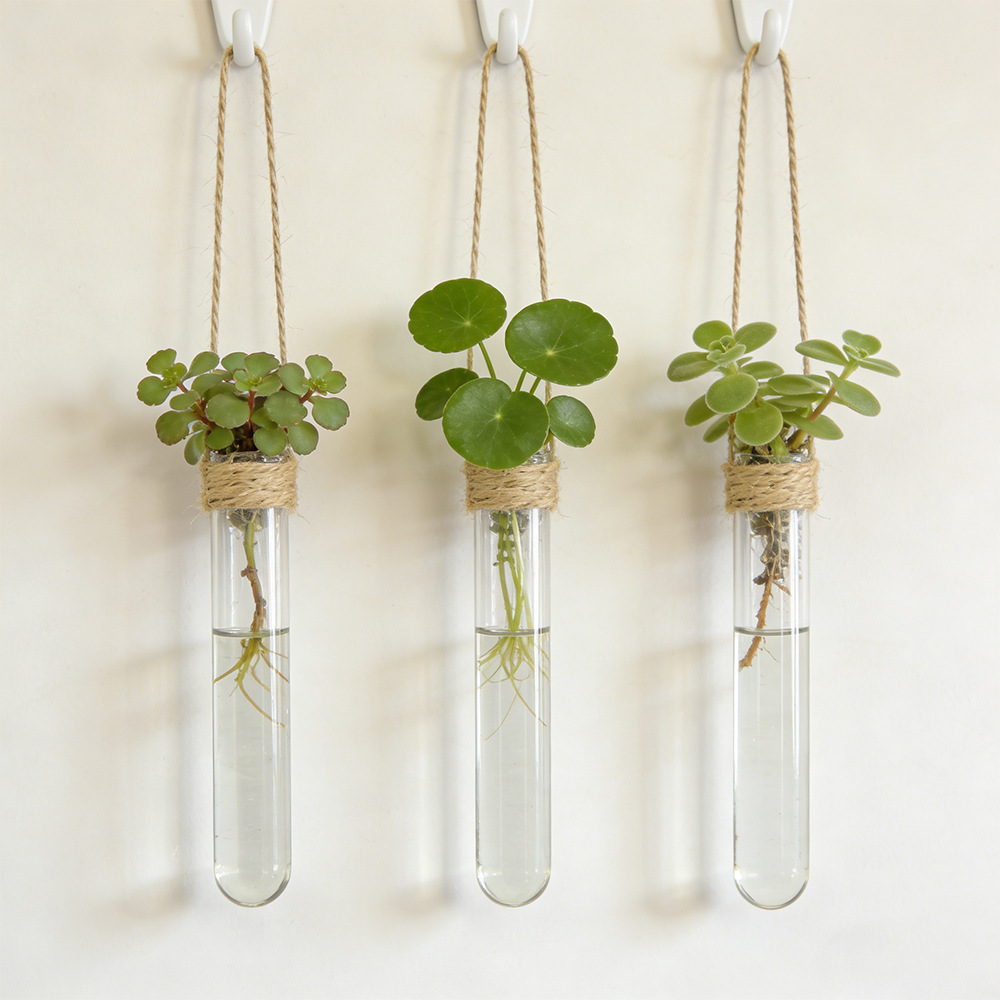 Propagation Station Vase - مزهرية زهور معلقة على الحائط للزراعة