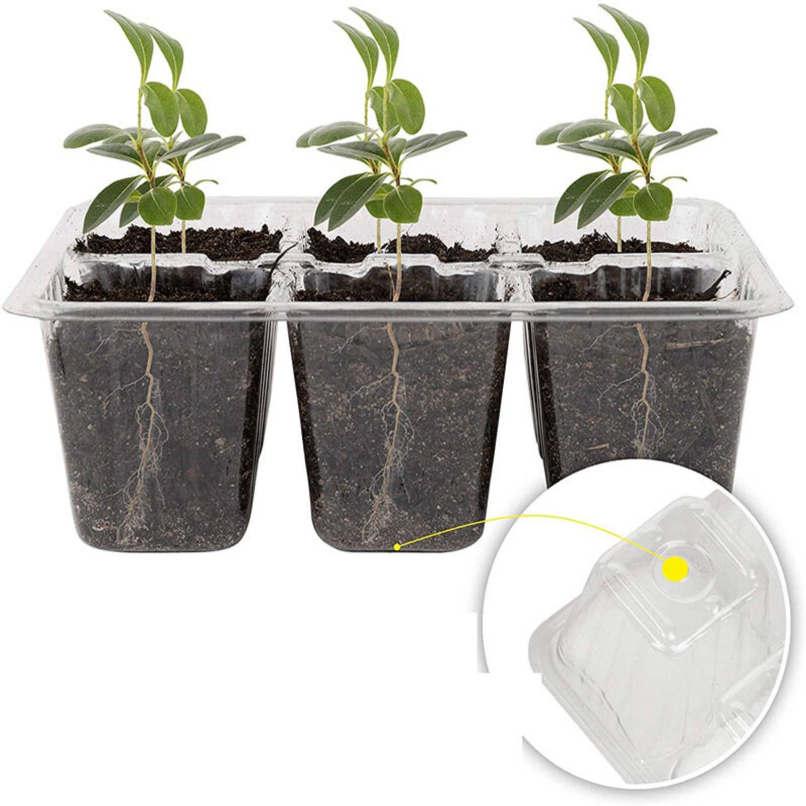Humidity Dome Kit - صينية إنبات بـ 12 حجرة مع