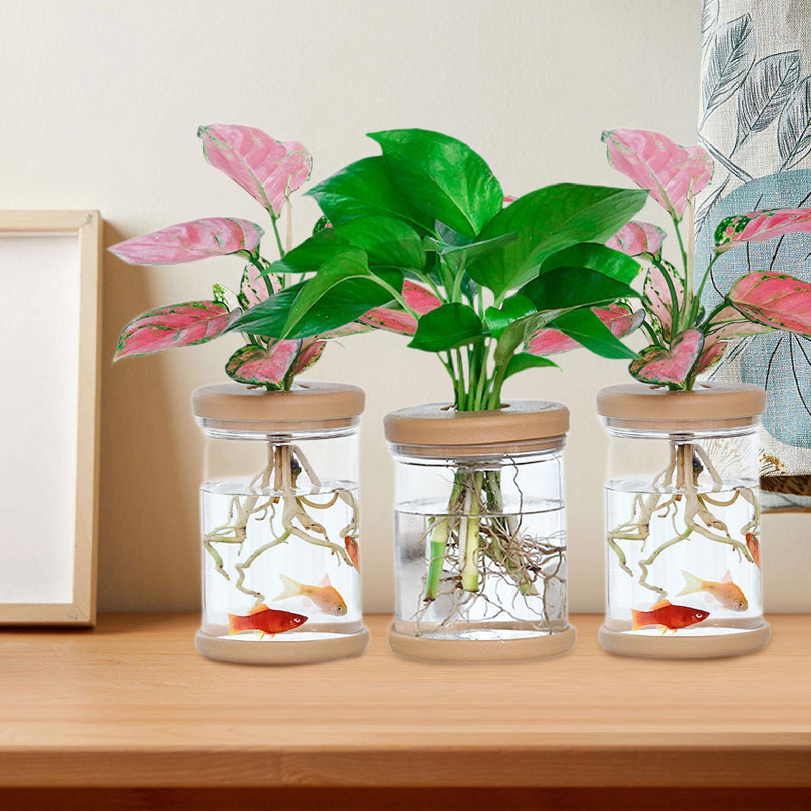 Propagation Station Vase - 3 قطع من المزهريات المزخرفة لزراعة