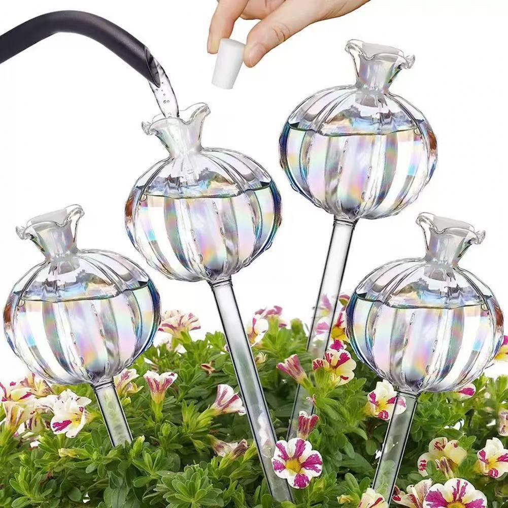 Self Watering Insert - 24 سنتيمتر الصبار الذاتي سقي لمبات