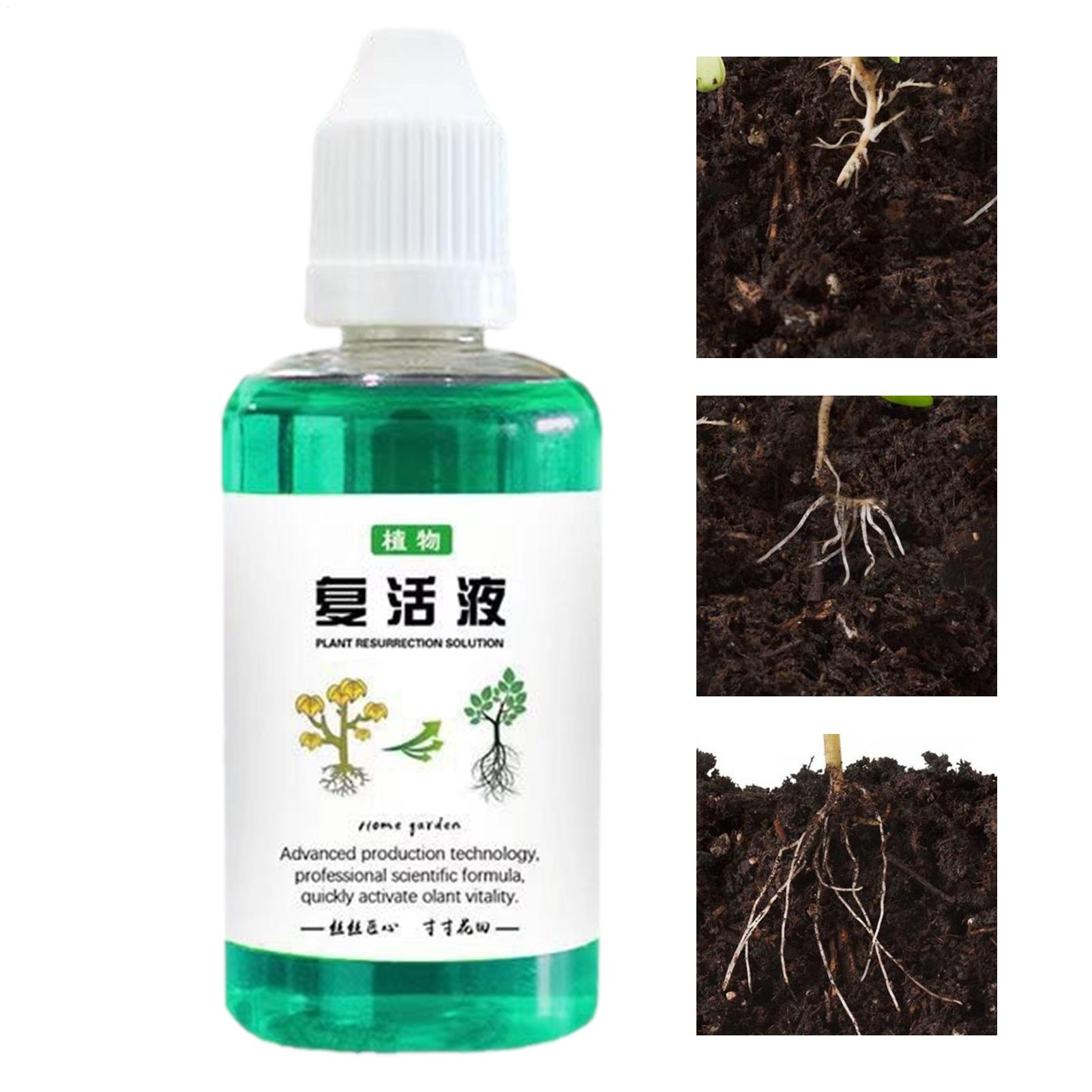 Root Stimulator Liquid - محفز جذور النباتات 50 مل، معزز