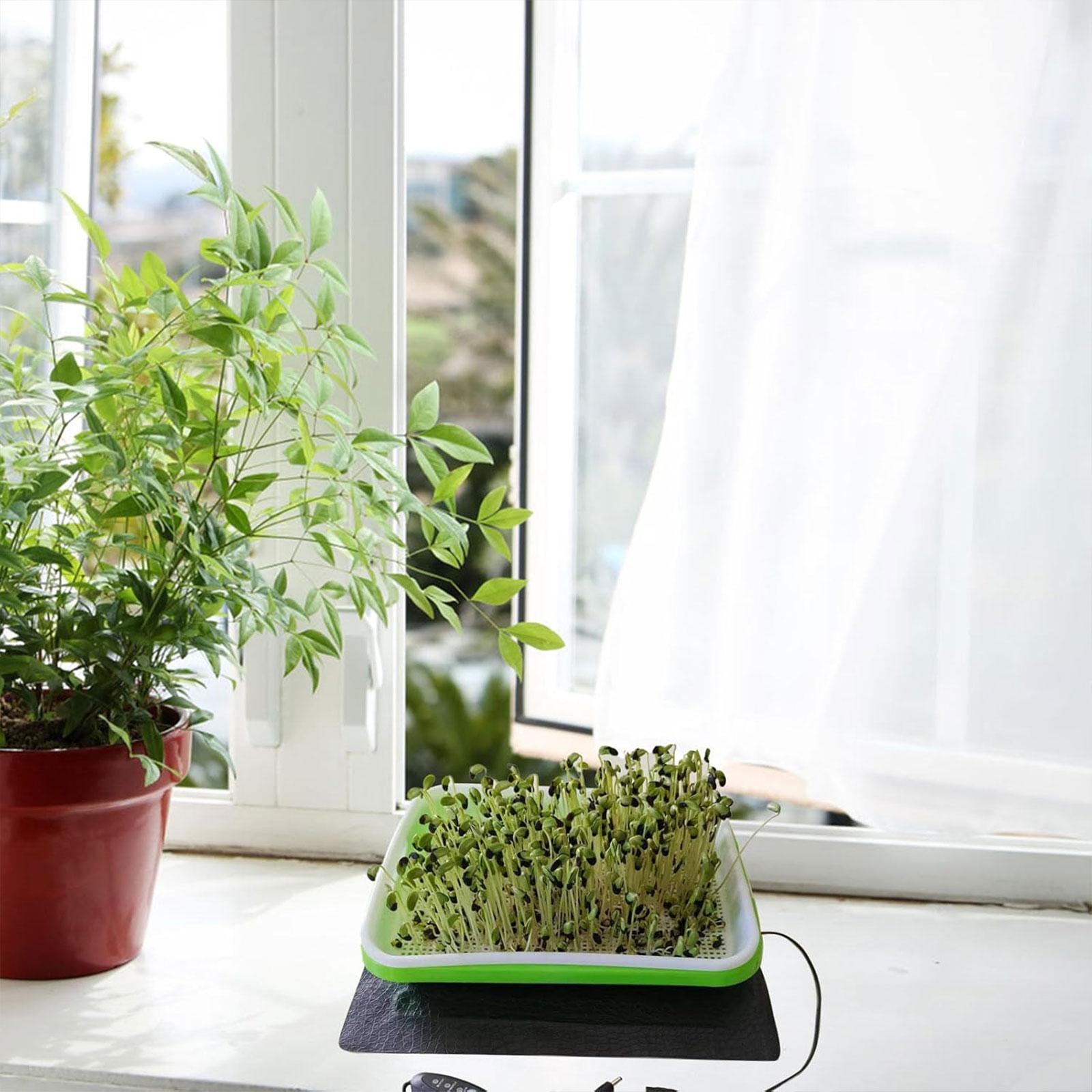 Heat Mat Seedling - بساط حراري للزراعة المائية لتكاثر الشتلات،