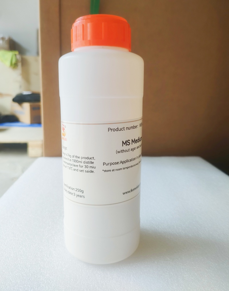 IKEME 250 جرام Lab MS Medium ب - مراجعة Agar Tissue Culture وسعره