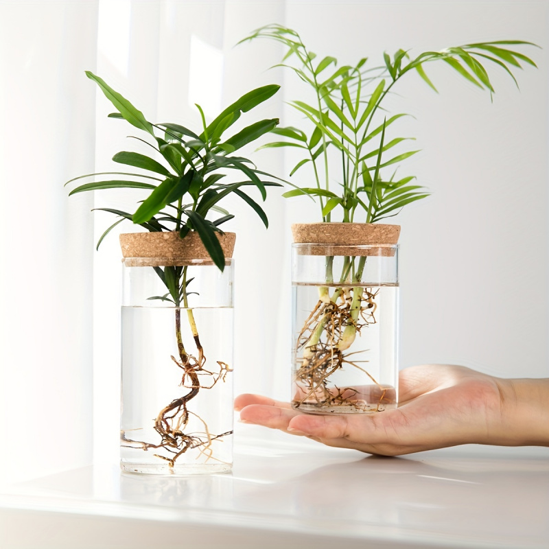 فازة نباتات الزراعة المائية لل - مراجعة Propagation Station Vase وسعره
