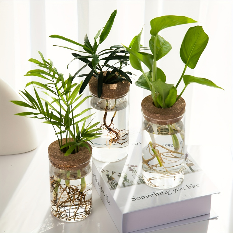 فازة نباتات الزراعة المائية لل - مراجعة Propagation Station Vase وسعره