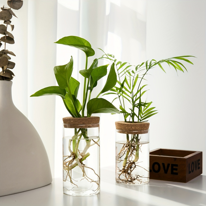 فازة نباتات الزراعة المائية لل - مراجعة Propagation Station Vase وسعره