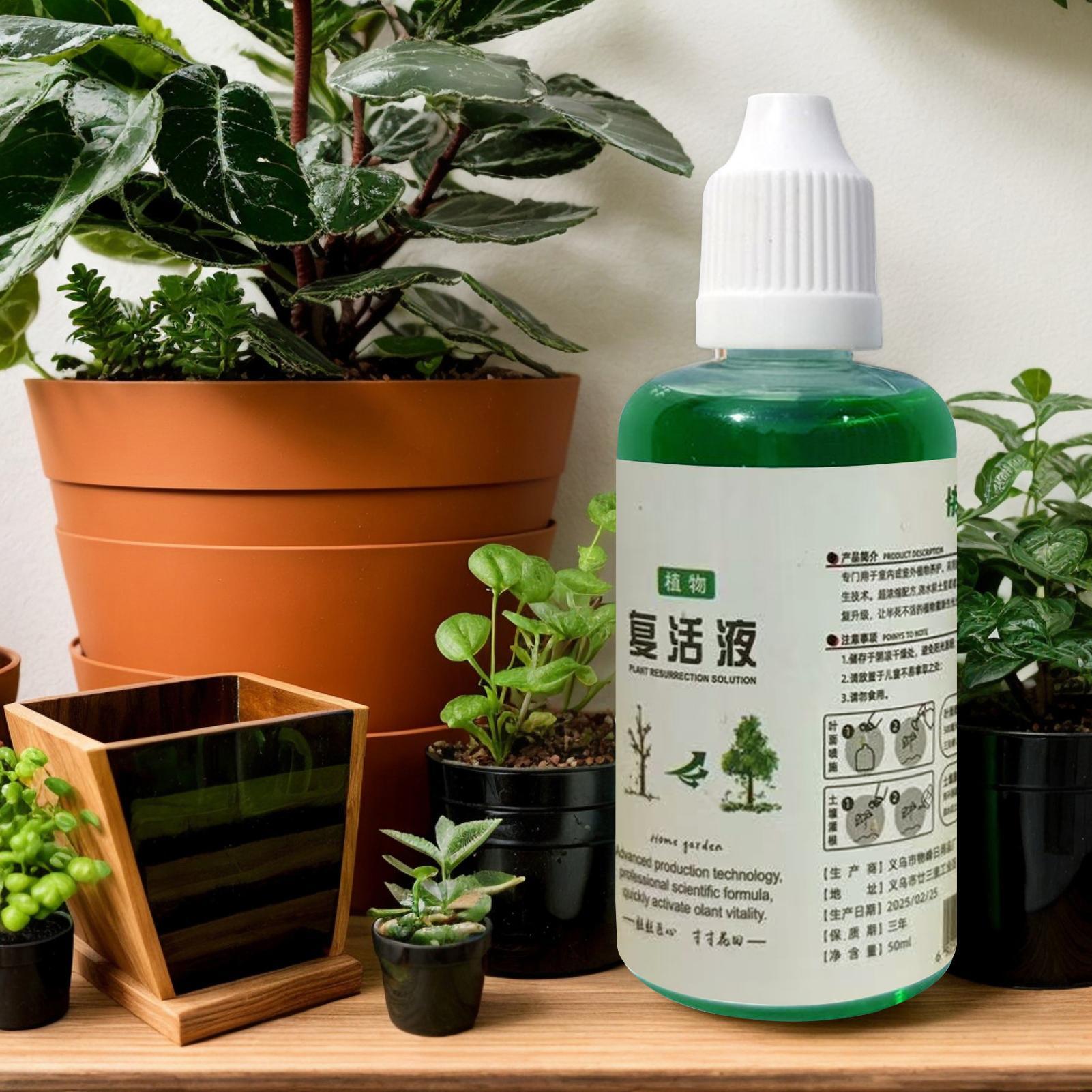 محفز جذور للنباتات، سماد مغذي  - مراجعة Root Stimulator Liquid وسعره