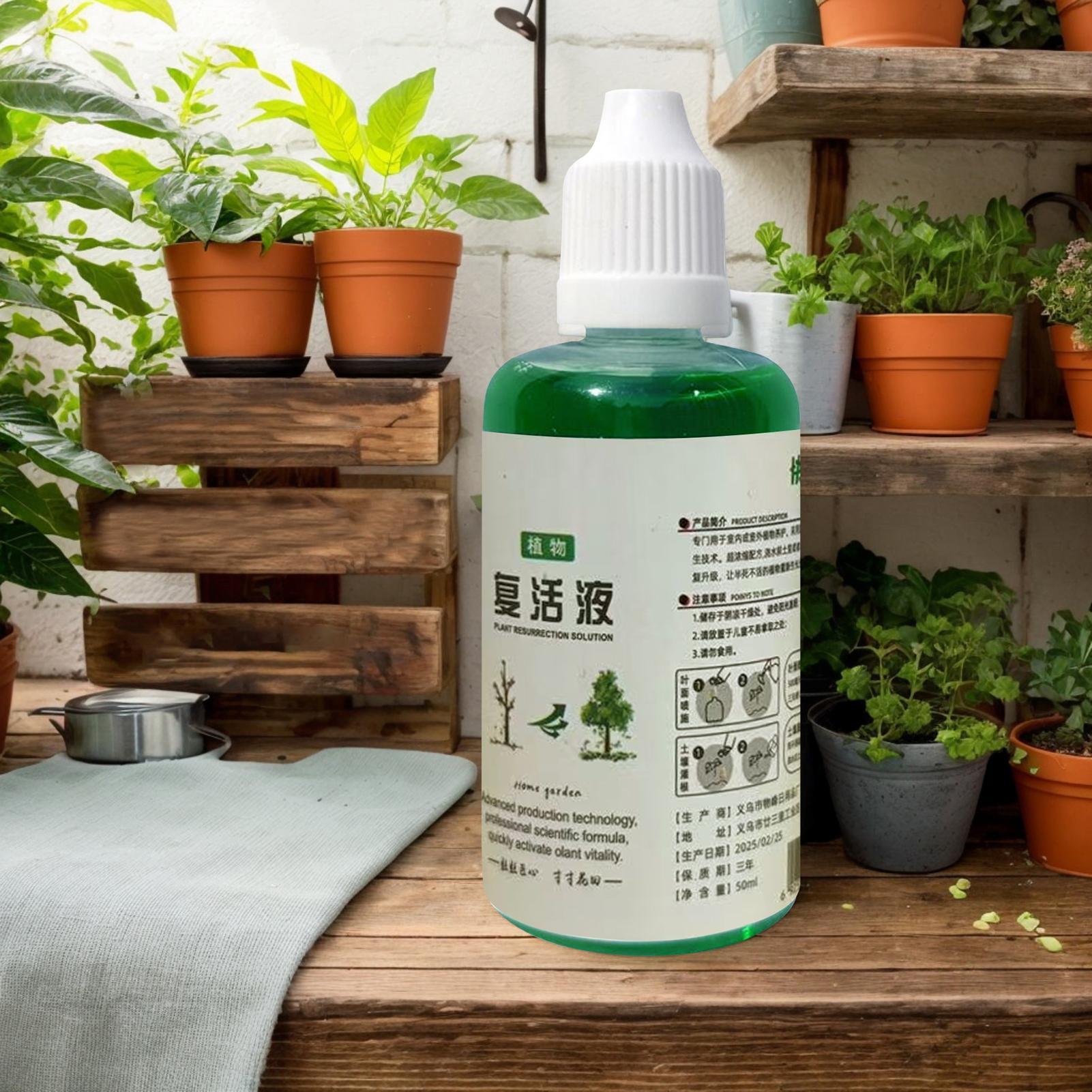 محفز جذور للنباتات، سماد مغذي  - مراجعة Root Stimulator Liquid وسعره