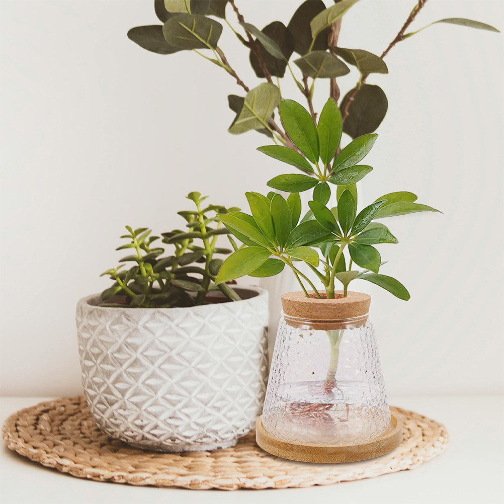 قطعتان من مزهرية زجاجية للزراع - مراجعة Propagation Station Vase وسعره