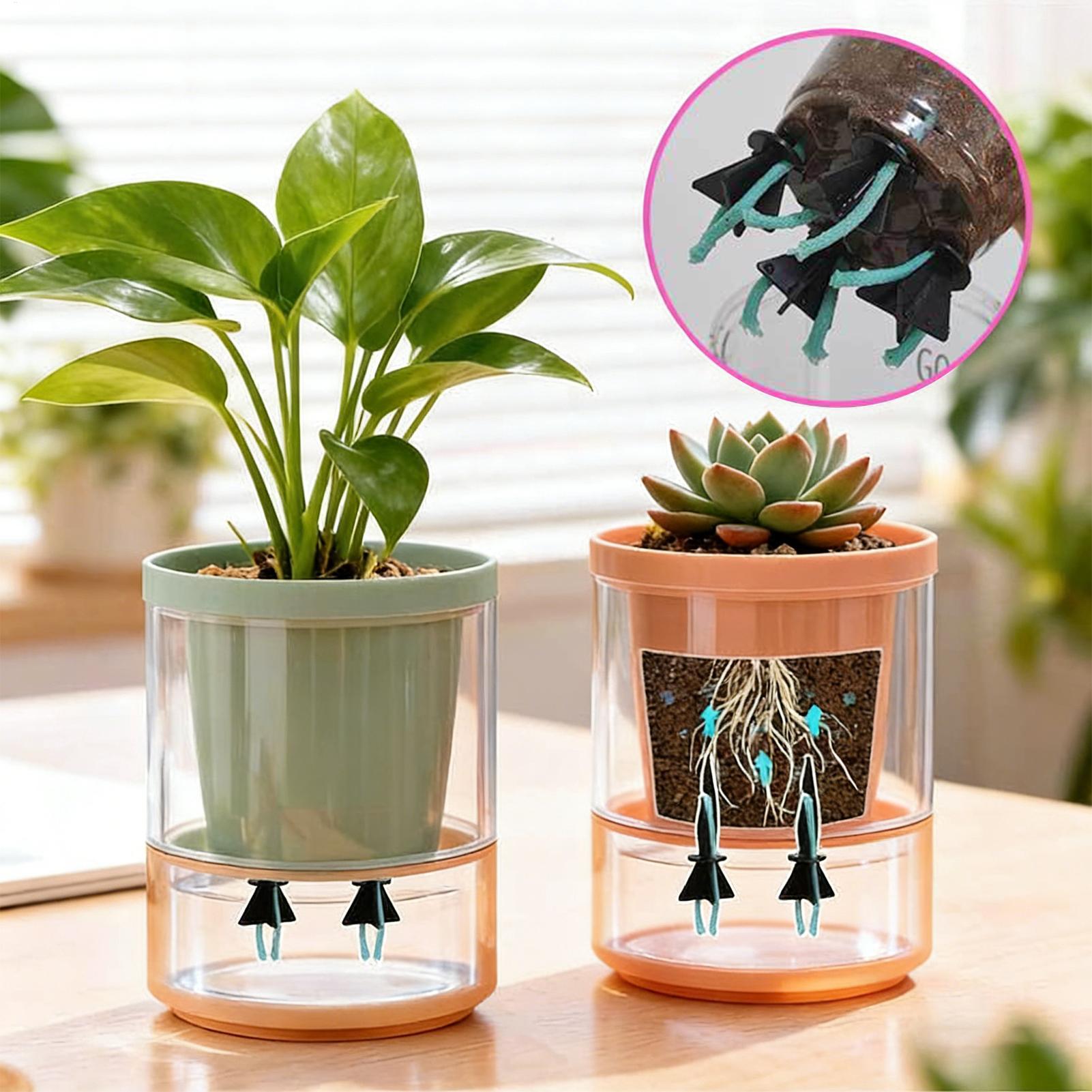 زارع سقي ذاتي إدراج 4 قطع مستل - مراجعة Self Watering Insert وسعره