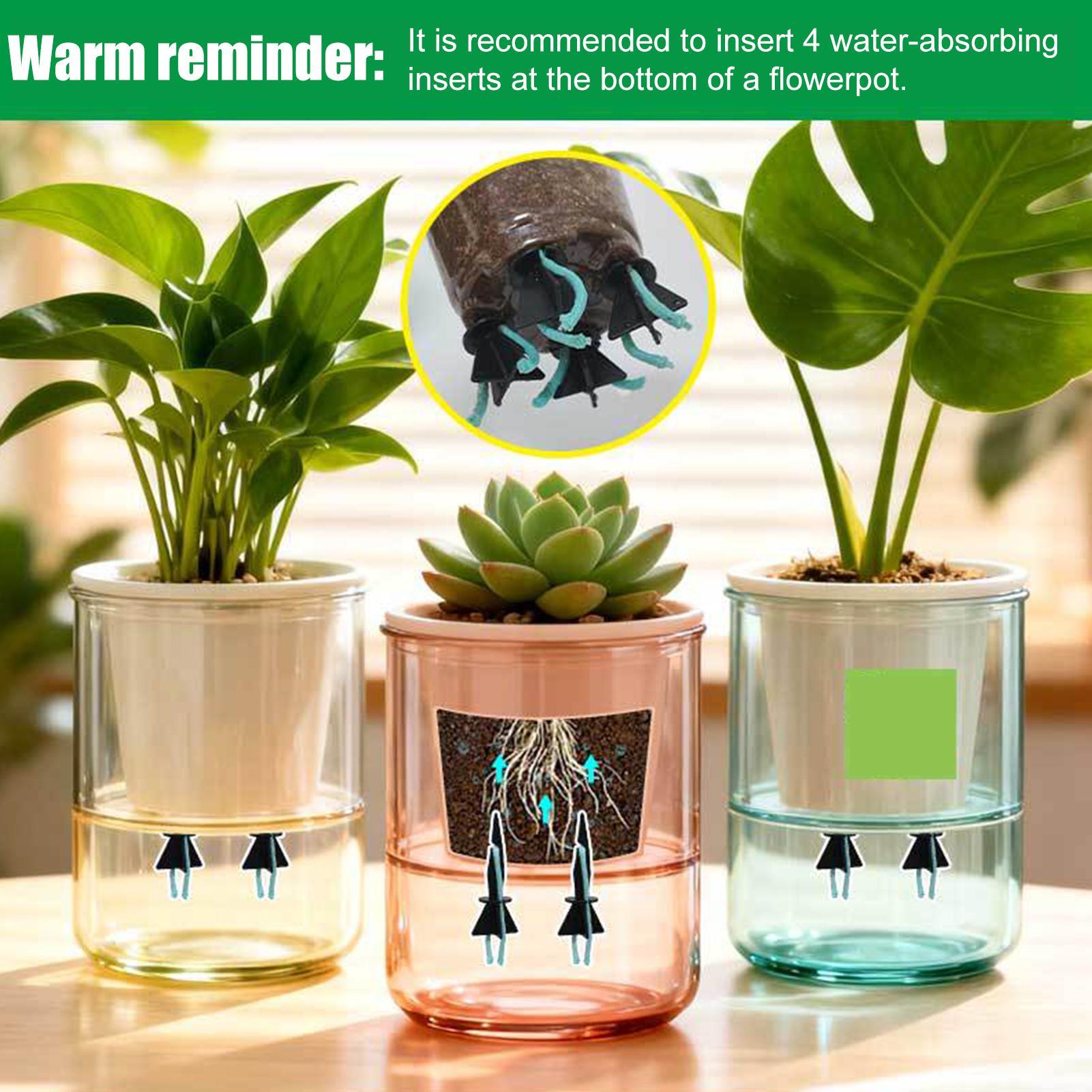 زارع سقي ذاتي إدراج 4 قطع مستل - مراجعة Self Watering Insert وسعره