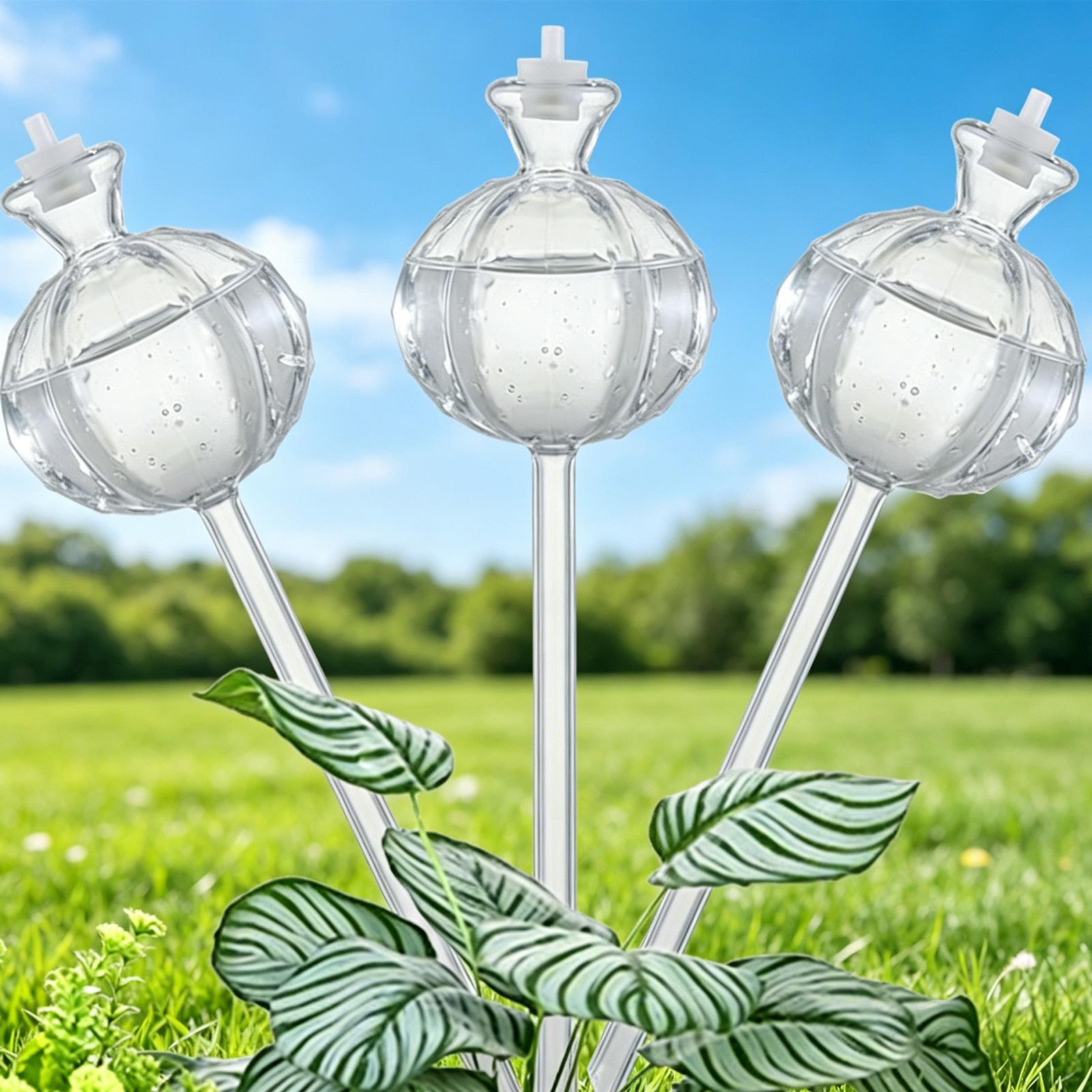 كرات ري ذاتي بطيء الإطلاق، 3 ق - مراجعة Self Watering Insert وسعره