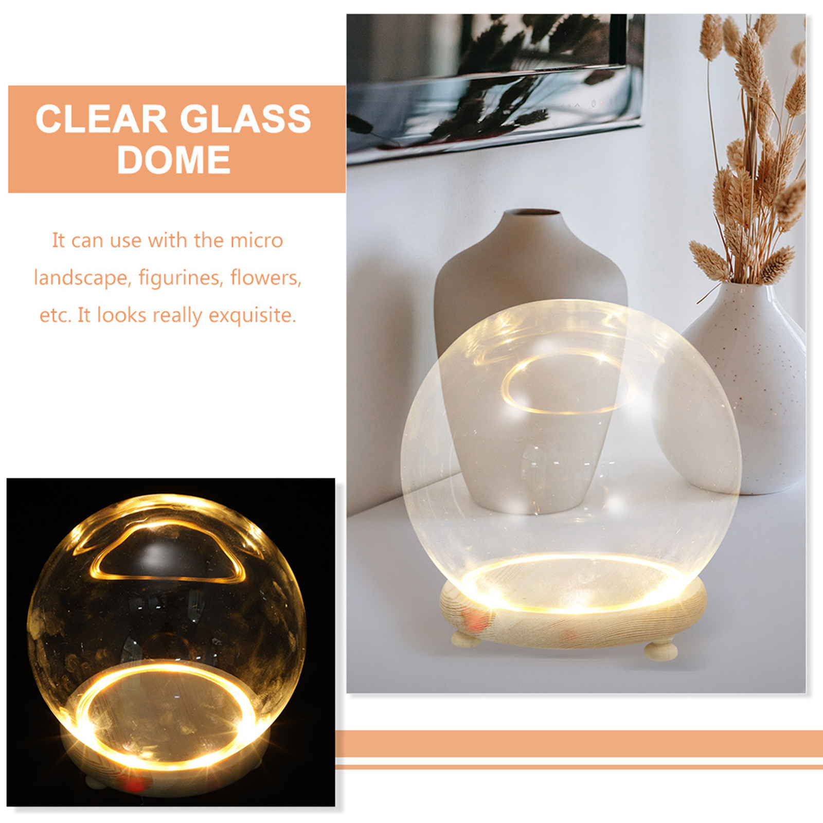 غطاء عرض زجاجي شفاف على شكل قب - مراجعة Plastic Dome Clear وسعره