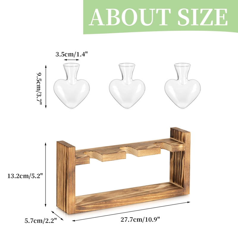 محطة زراعة زجاجية للنباتات: مز - مراجعة Propagation Station Vase وسعره