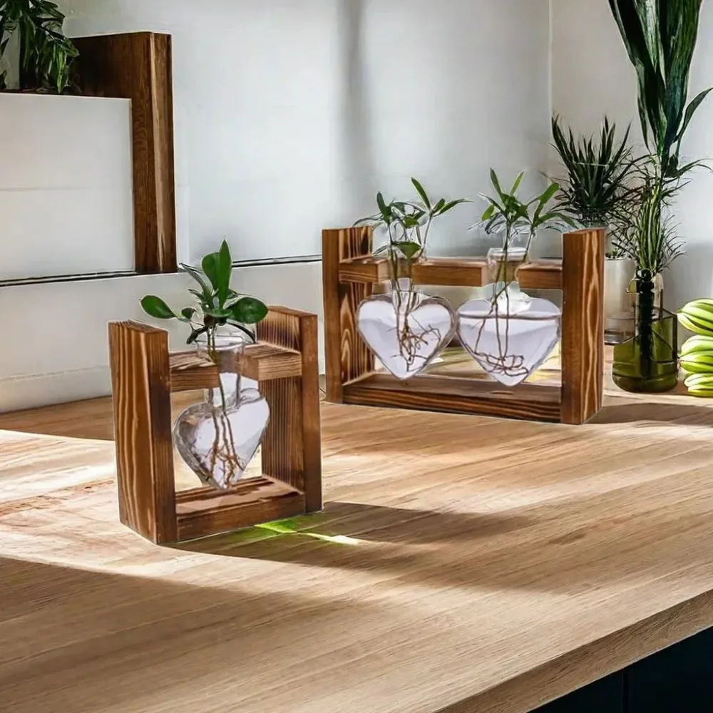 مزهرية نباتات مائية لمحطة انتش - مراجعة Propagation Station Vase وسعره