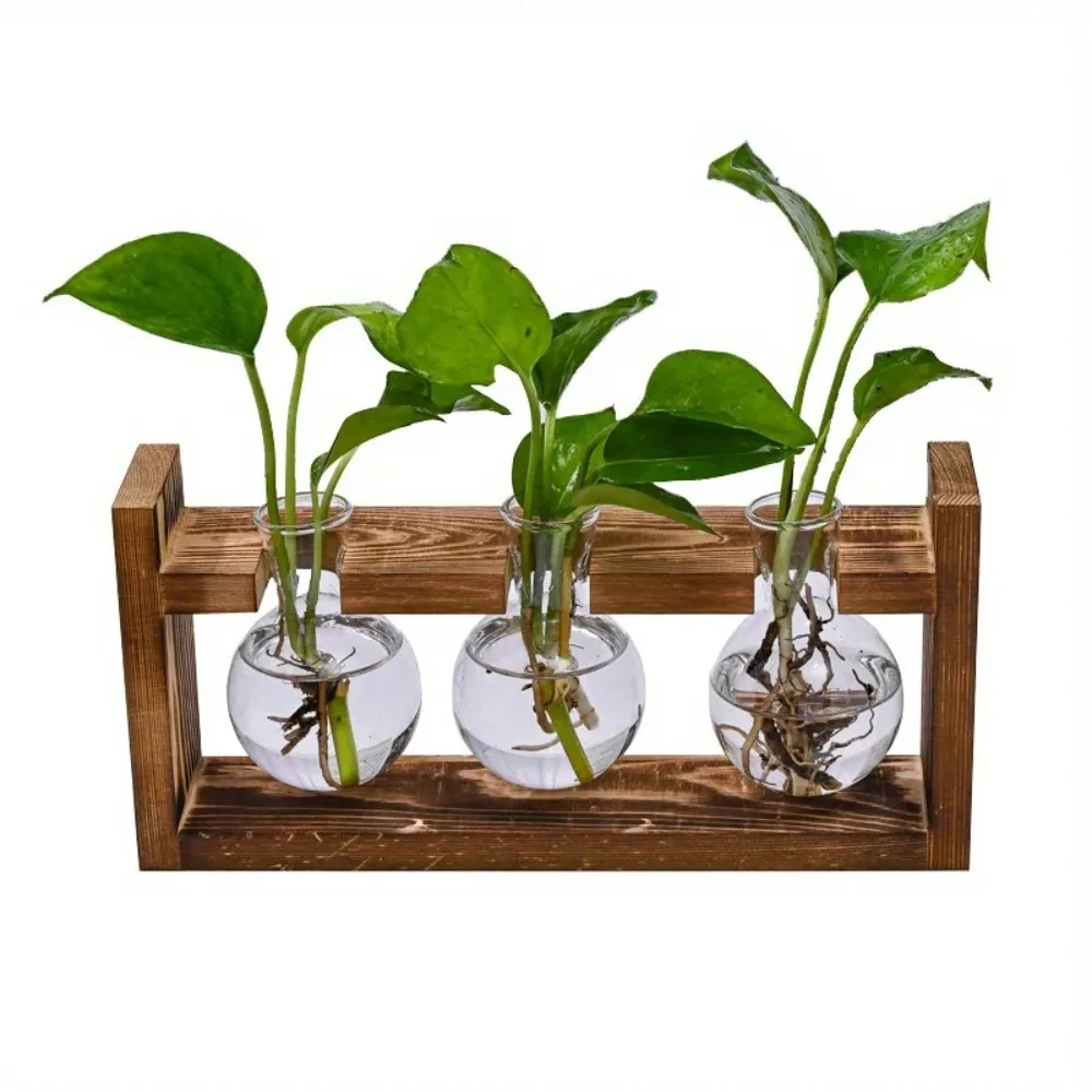 مزهرية نباتات مائية لمحطة انتش - مراجعة Propagation Station Vase وسعره
