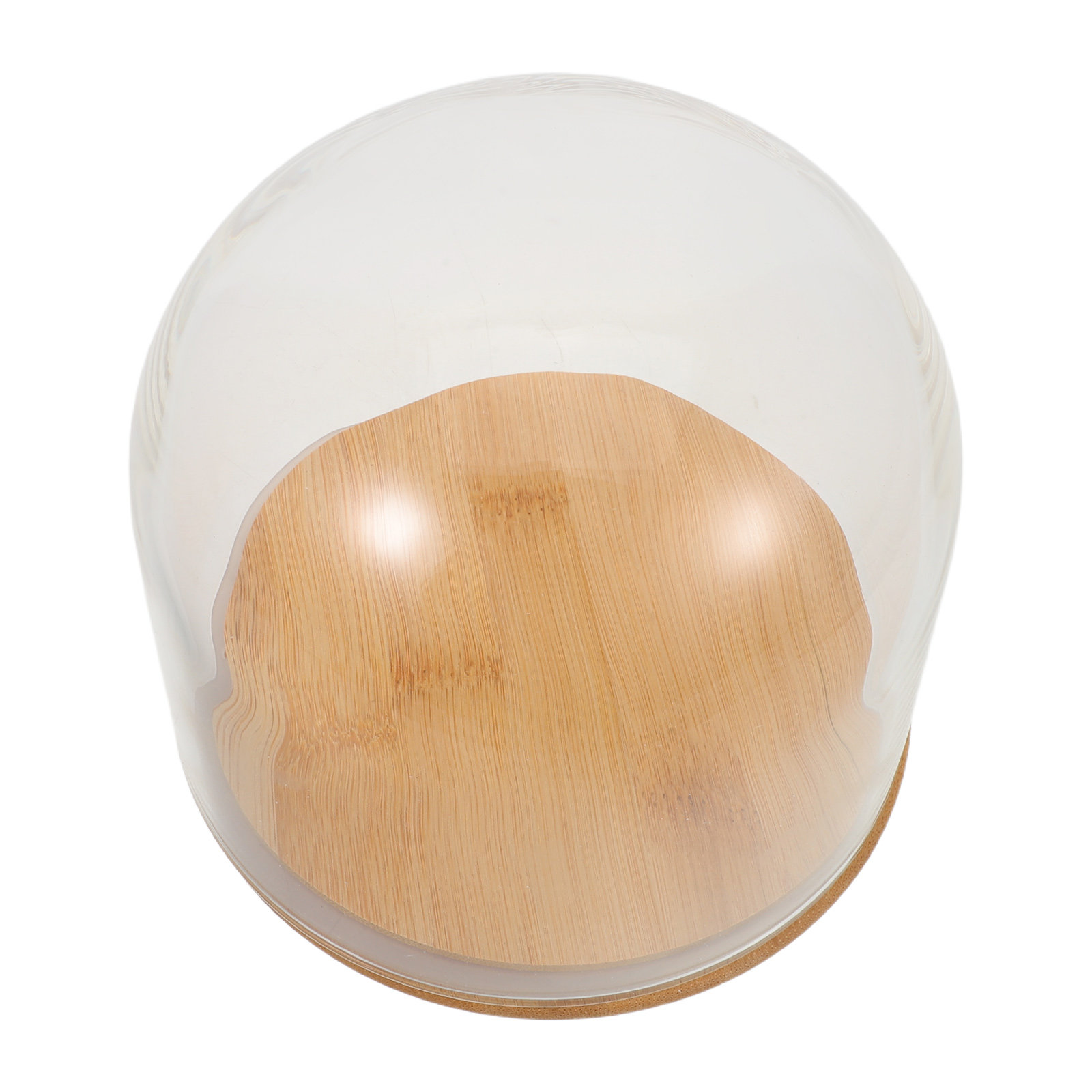 قبة زجاجية شفافة مع قاعدة خيزر - مراجعة Plastic Dome Clear وسعره