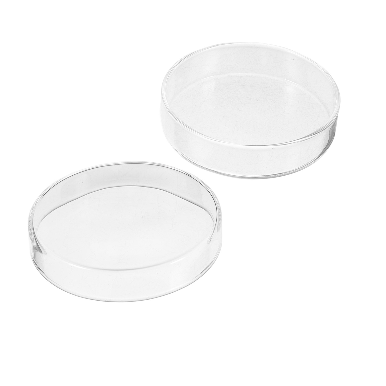 طقم أطباق بتري زجاجية سميكة قا - مراجعة Agar Tissue Culture وسعره