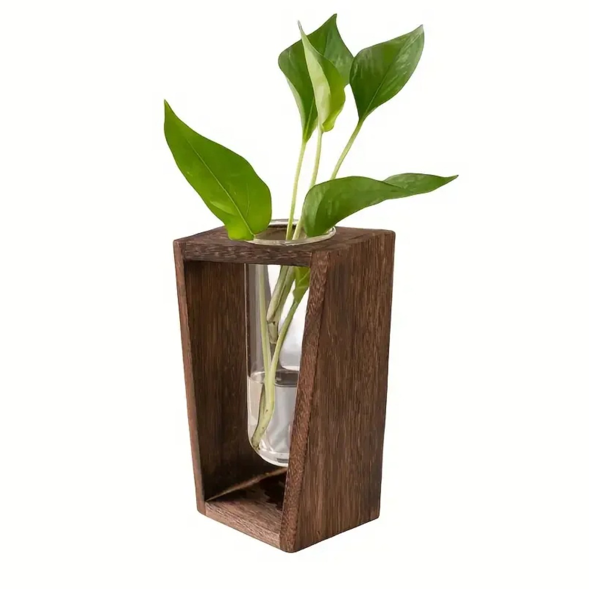 محطة تكاثر النباتات، مزهرية هي - مراجعة Propagation Station Vase وسعره