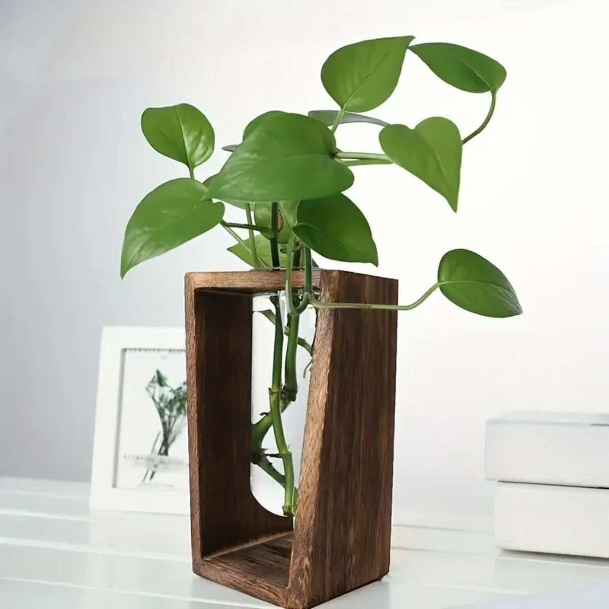 محطة تكاثر النباتات، مزهرية هي - مراجعة Propagation Station Vase وسعره
