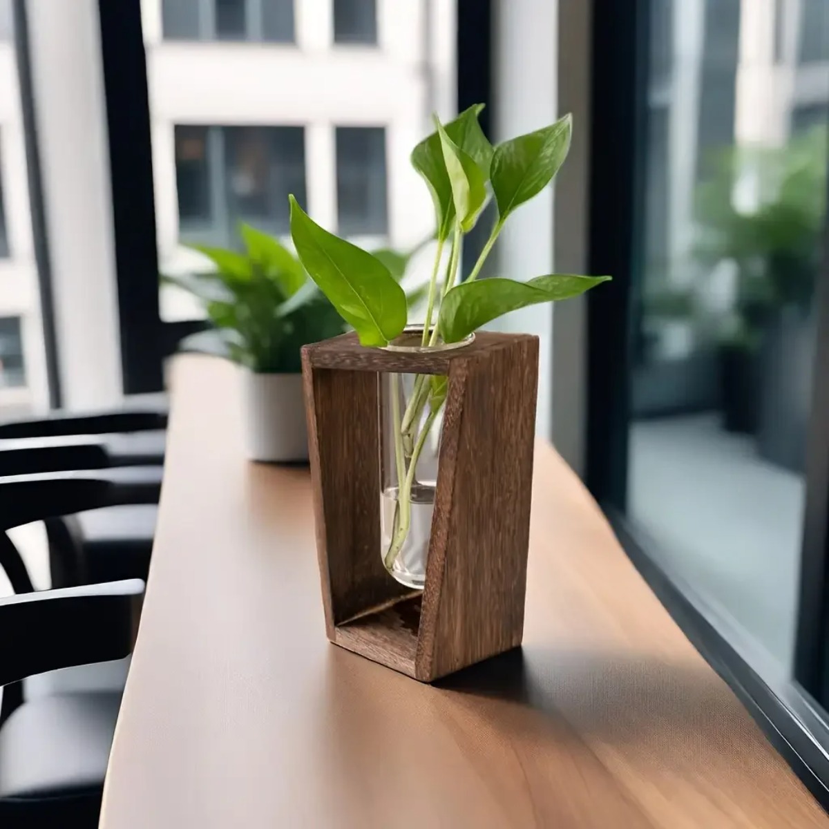 محطة تكاثر النباتات، مزهرية هي - مراجعة Propagation Station Vase وسعره