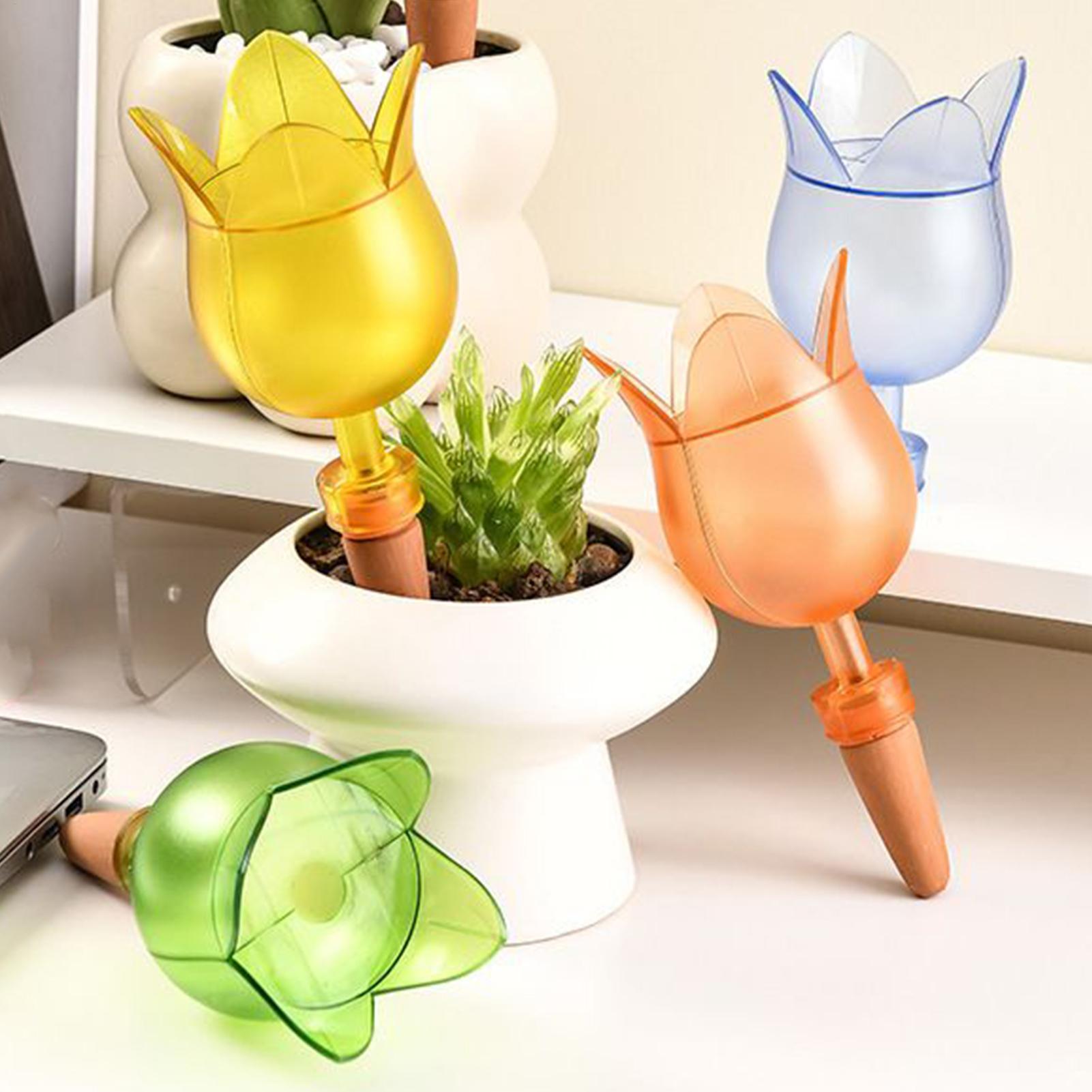 زارع سقي ذاتي إدراج نباتات الز - مراجعة Self Watering Insert وسعره
