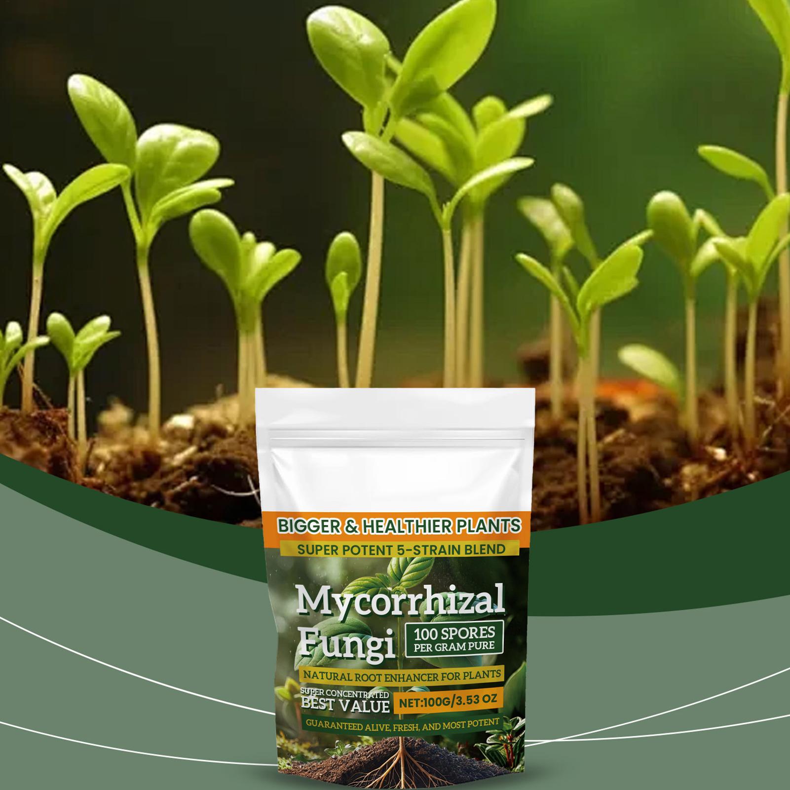 مسحوق مغذي جديد للنباتات 100 ج - مراجعة Rooting Hormone Powder وسعره