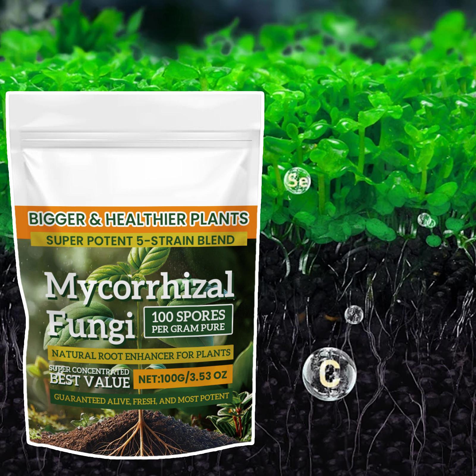 مسحوق مغذي جديد للنباتات 100 ج - مراجعة Rooting Hormone Powder وسعره