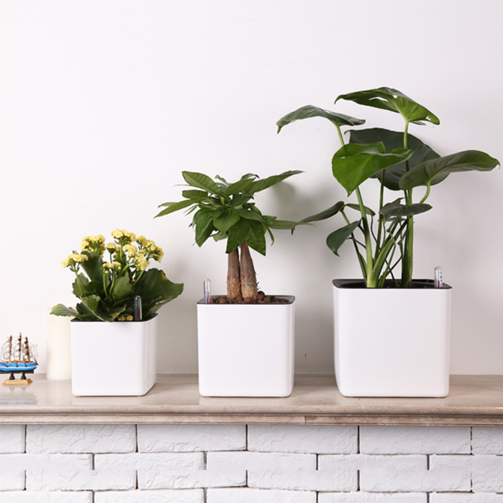 وعاء نباتات ذاتي الري مع مؤشر  - مراجعة Self Watering Insert وسعره