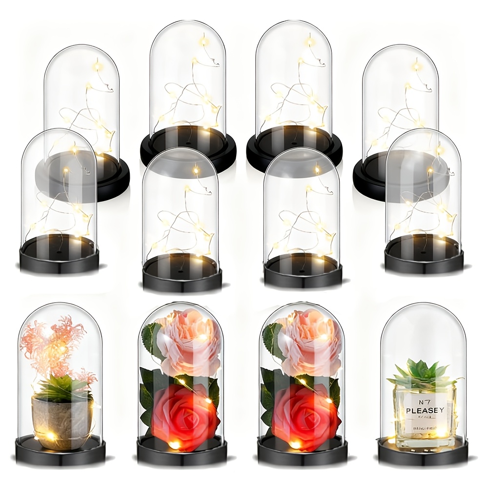 صندوق زينة شفاف من البلاستيك ل - مراجعة Plastic Dome Clear وسعره
