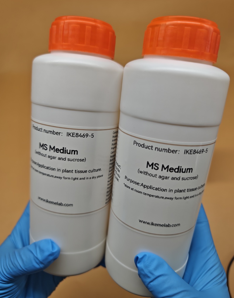 IKEME Lab MS متوسط 250 جرام بد - مراجعة Agar Tissue Culture وسعره