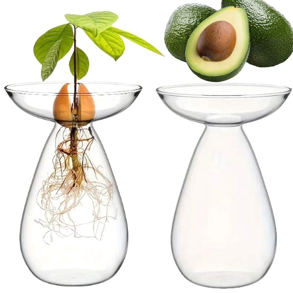 مزهرية زجاجية شفافة لبدء زراعة - مراجعة Propagation Station Vase وسعره