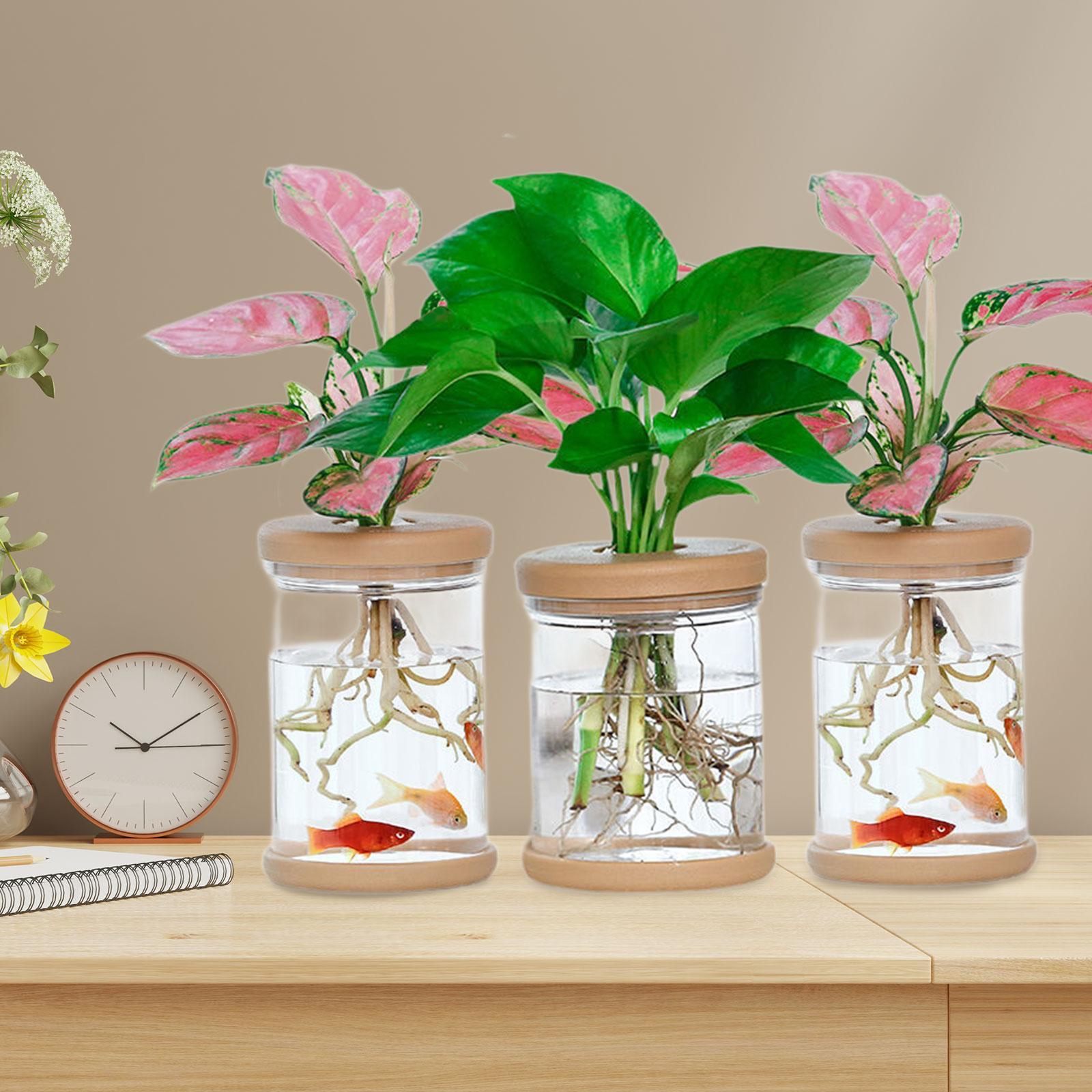 3 قطع من المزهريات المزخرفة لز - مراجعة Propagation Station Vase وسعره