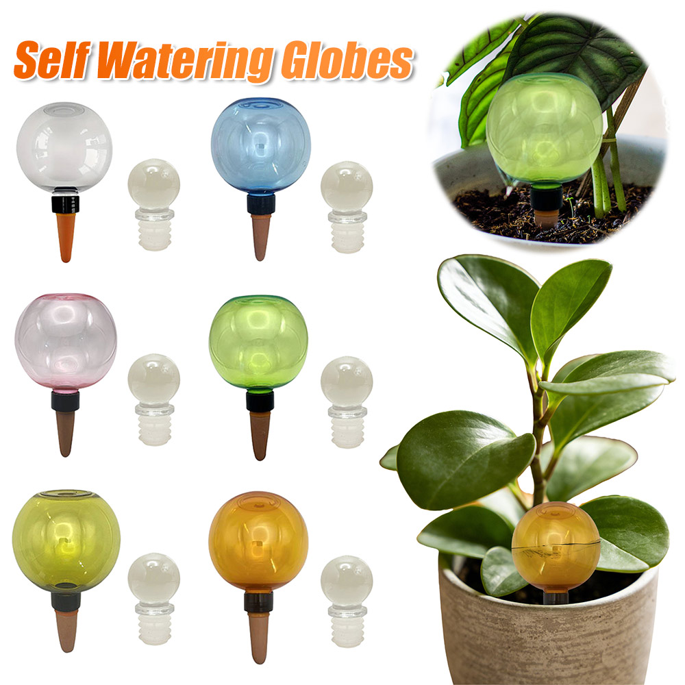 أداة ري ذاتي للنباتات، أجهزة ر - مراجعة Self Watering Insert وسعره