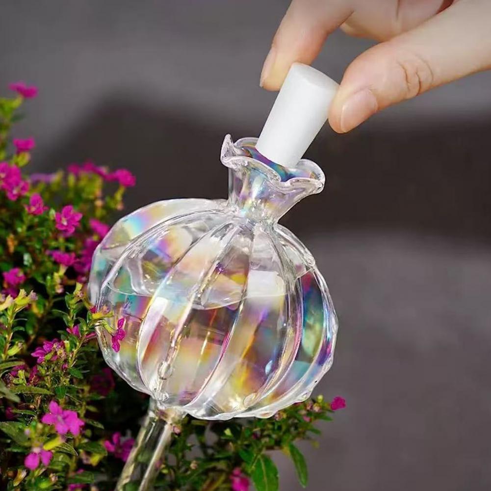 24 سنتيمتر الصبار الذاتي سقي ل - مراجعة Self Watering Insert وسعره