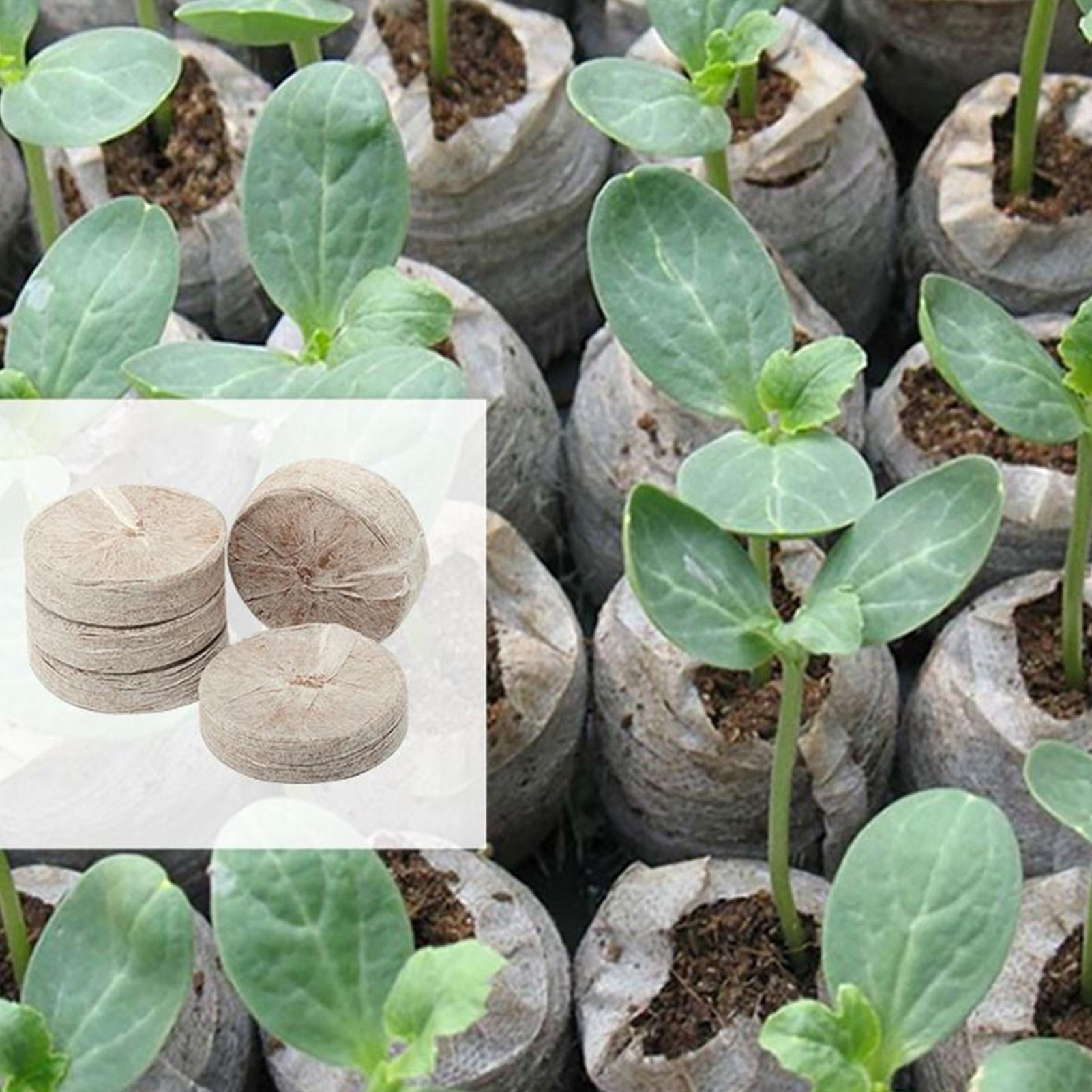 100 قطعة من أقراص التربة المضغ - مراجعة Peat Pellet Tray وسعره