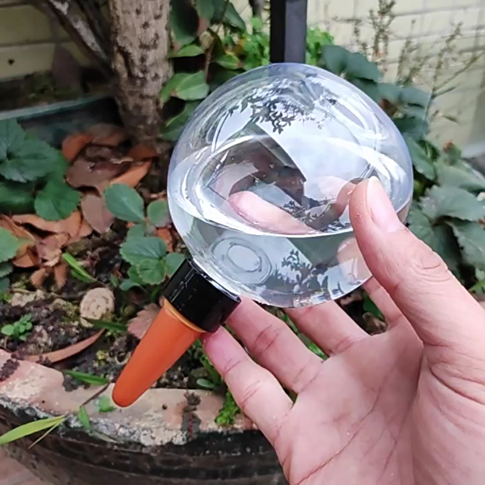 كرات ري ذاتية سعة 500 مل، نظام - مراجعة Self Watering Insert وسعره