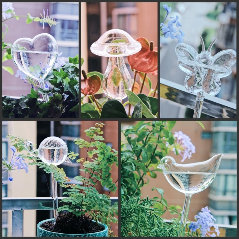 جهاز سقي زجاجي إبداعي للنباتات - مراجعة Self Watering Insert وسعره
