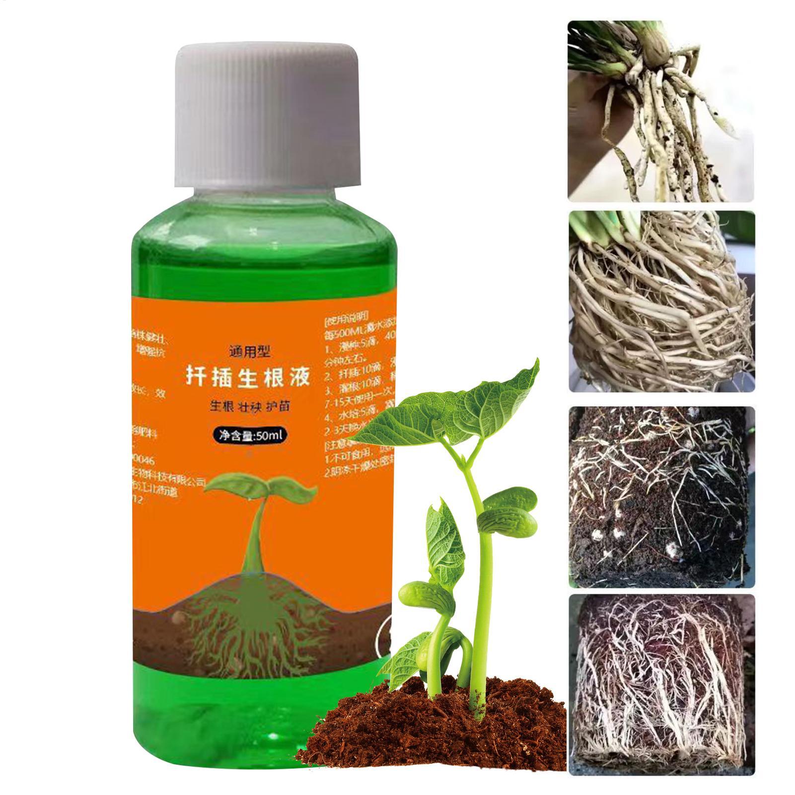 محفز جذور عالي الكفاءة لقصاصات - مراجعة Root Stimulator Liquid وسعره