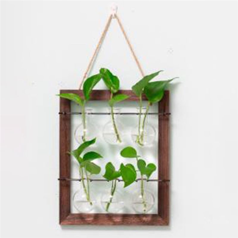 مزهرية ABLN للتعليق على الحائط - مراجعة Propagation Station Vase وسعره