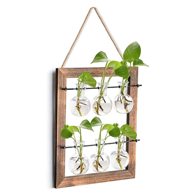 مزهرية ABLN للتعليق على الحائط - مراجعة Propagation Station Vase وسعره