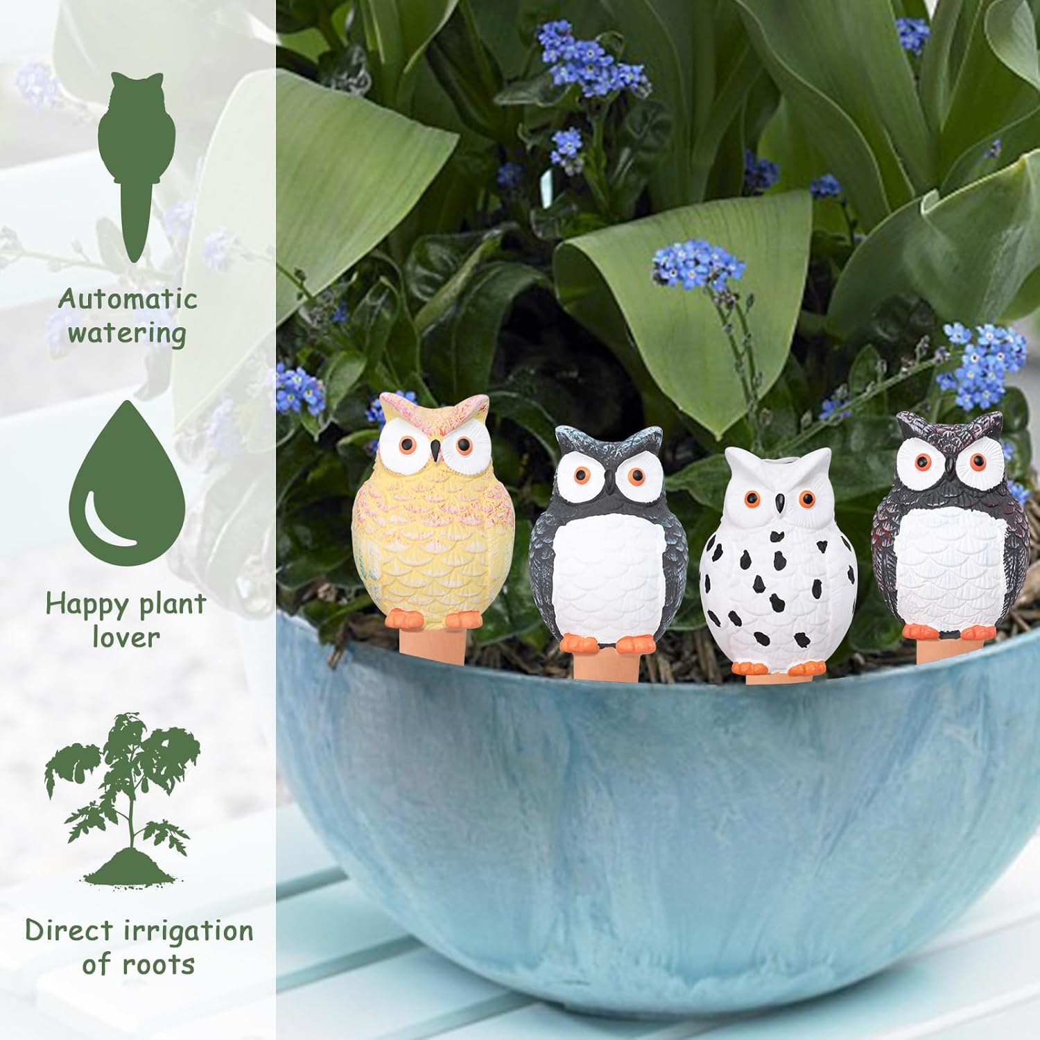 كرات سقي ذاتية للنباتات، أوتاد - مراجعة Self Watering Insert وسعره