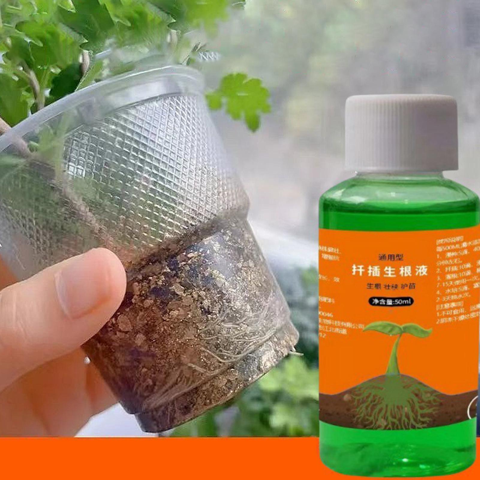 محلول مغذي لنقل النباتات سعة 5 - مراجعة Root Stimulator Liquid وسعره