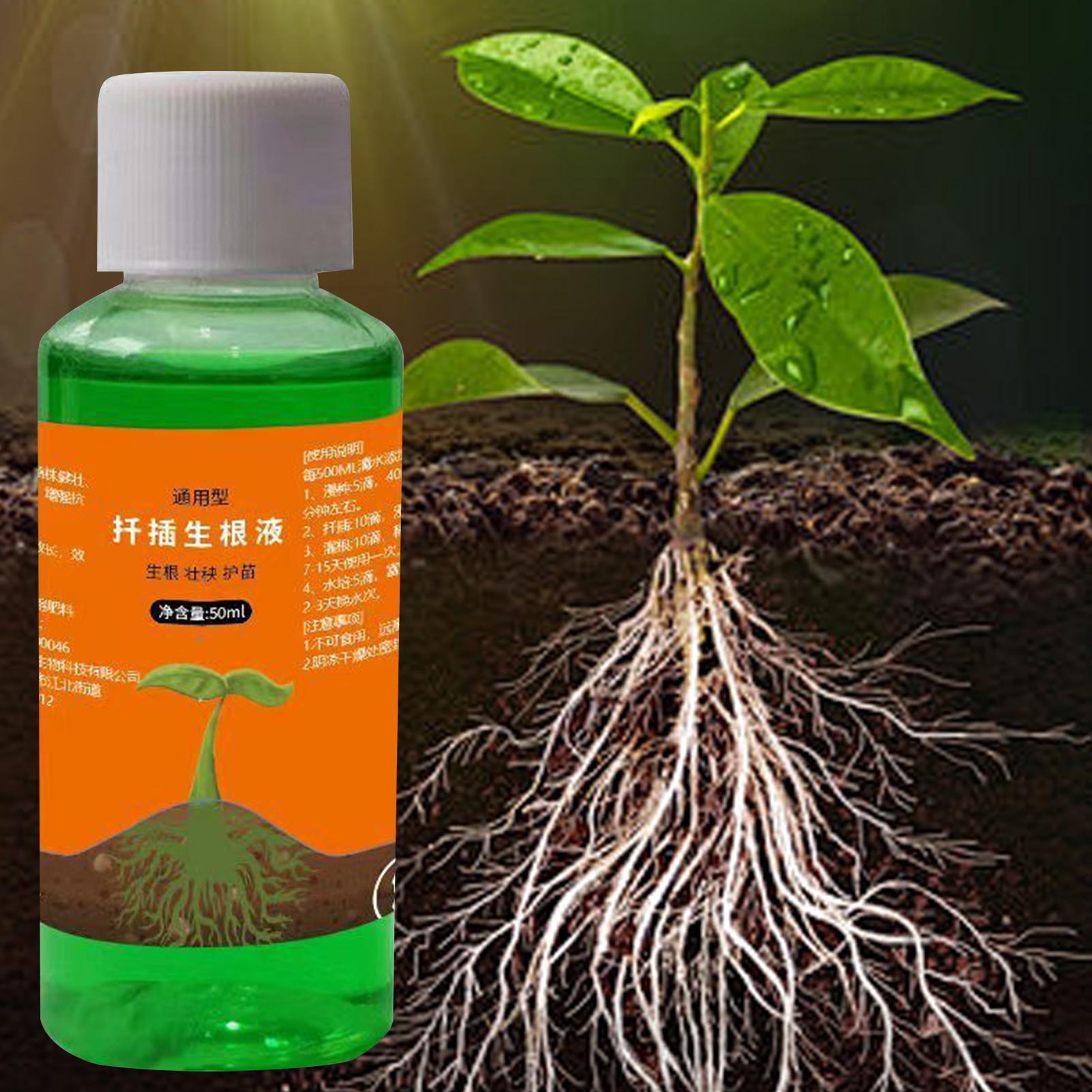 محلول مغذي لنقل النباتات سعة 5 - مراجعة Root Stimulator Liquid وسعره