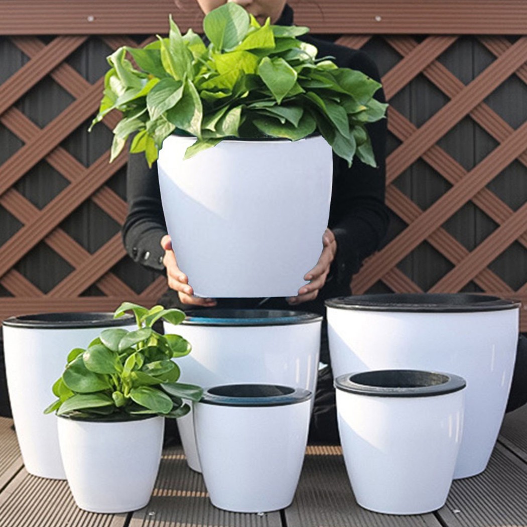 التلقائي سقي النباتات وعاء ، ك - مراجعة Self Watering Insert وسعره