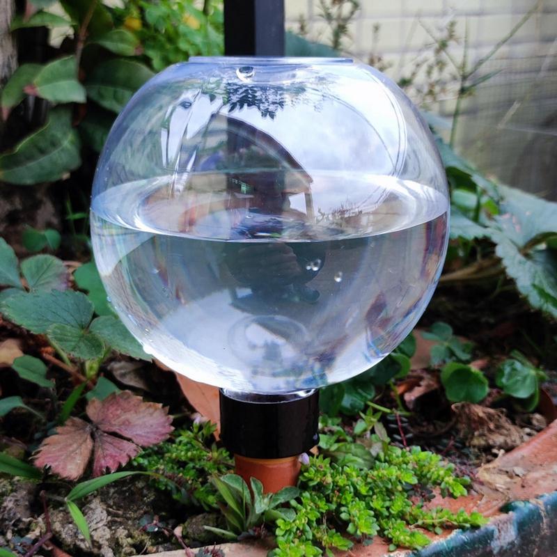 مصابيح سقي النباتات أوتوماتيكي - مراجعة Self Watering Insert وسعره