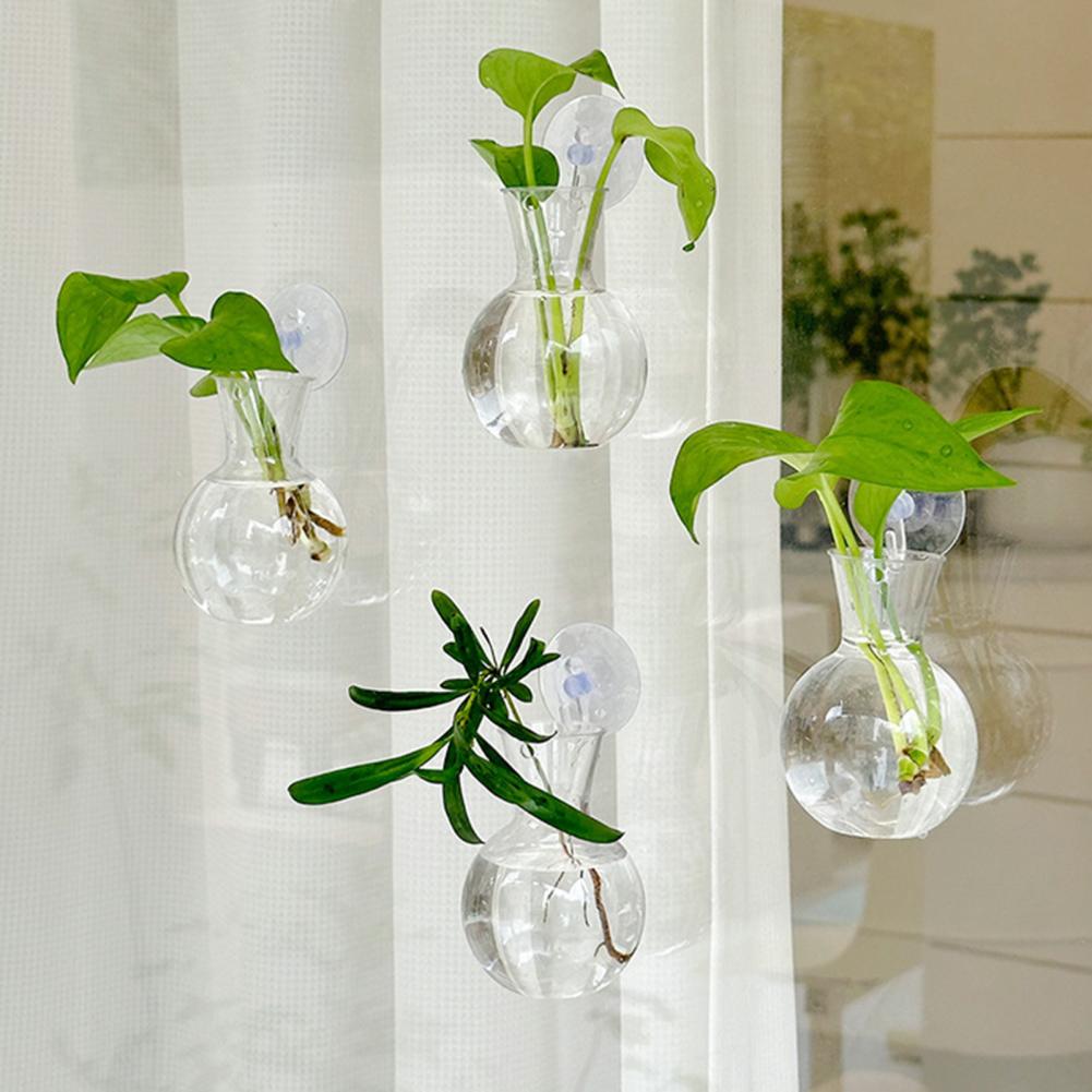 1/2/3/4/6/8 قطع مزهرية تكاثر ن - مراجعة Propagation Station Vase وسعره