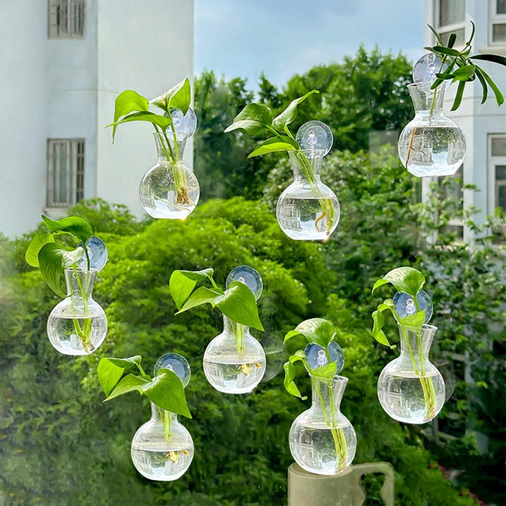 1/2/3/4/6/8 قطع مزهرية تكاثر ن - مراجعة Propagation Station Vase وسعره